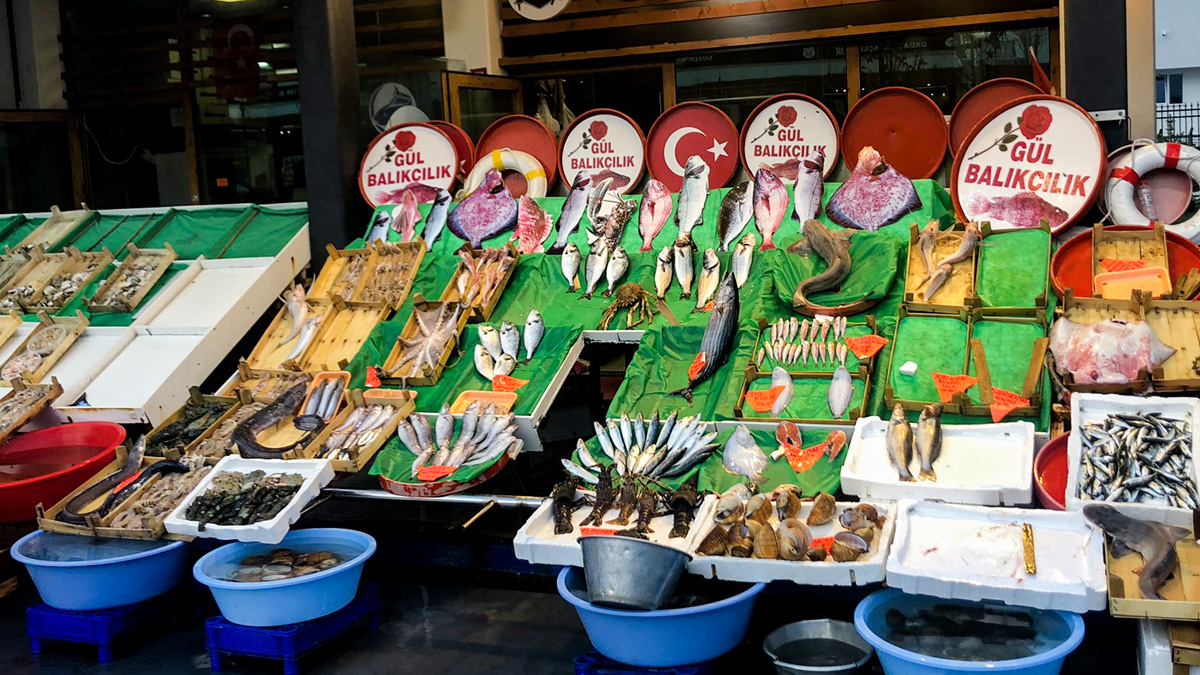 بائع سمك اسطنبول
